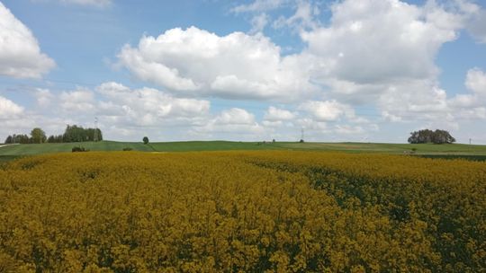 Augustów i Suwałki na Suwalszczyźnie