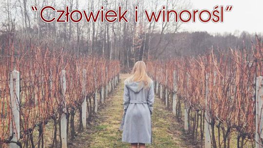  “Człowiek i winorośl”