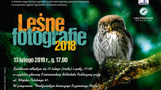 Leśne Fotografie 2018