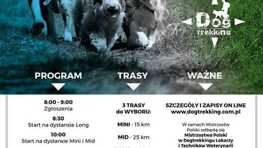 Mistrzostwa Polski w Dogtrekkingu!