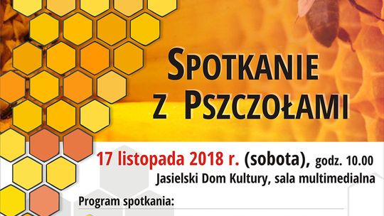 Spotkanie z pszczołami