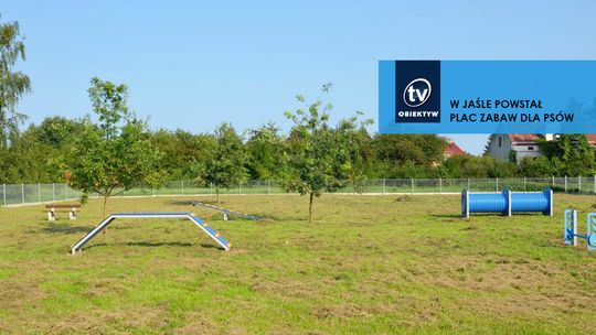 W JAŚLE POWSTAŁ PLAC ZABAW DLA PSÓW